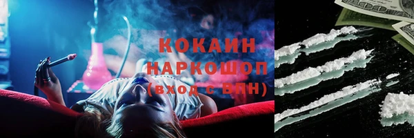 spice Богородицк