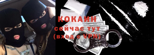 spice Богородицк