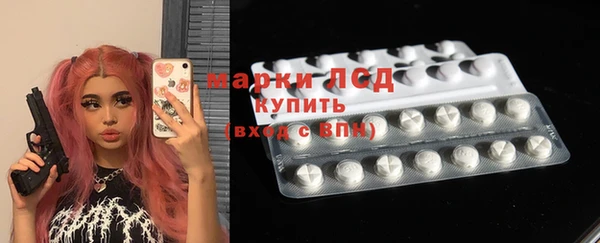 spice Богородицк