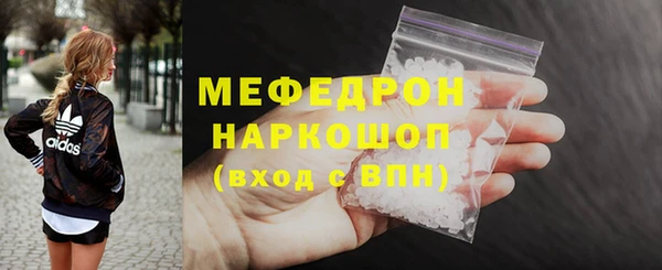 spice Богородицк