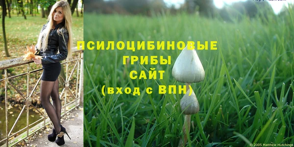 MDMA Premium VHQ Богородск