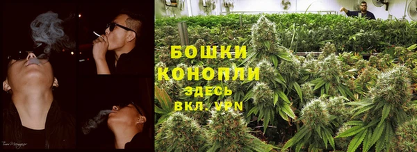 spice Богородицк
