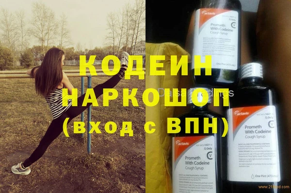 spice Богородицк
