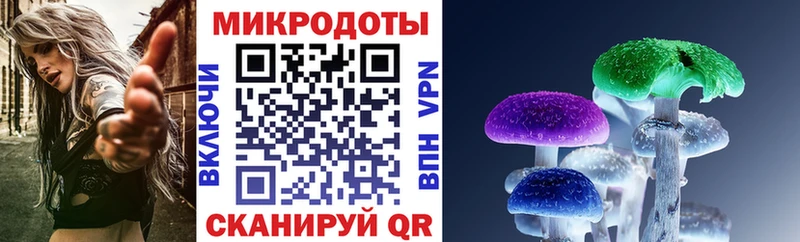 Псилоцибиновые грибы мицелий Дмитров