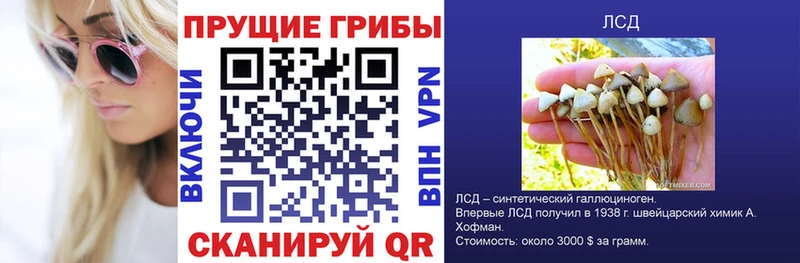 гидра ТОР Дмитров Галлюциногенные грибы мухоморы
